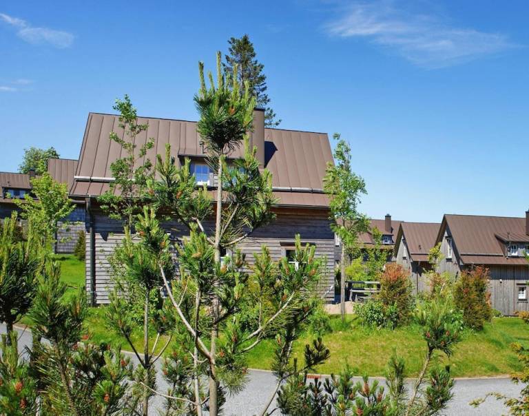 Ferienhaus Torfhaus