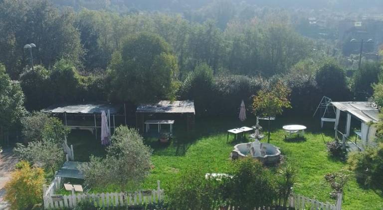 foto13