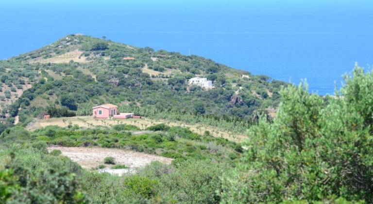 Vacation home with 2 rooms for 4 persons in Castelsardo