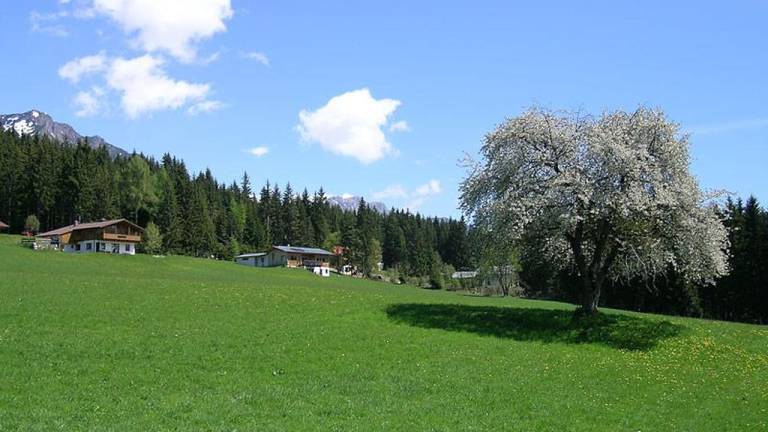 foto1