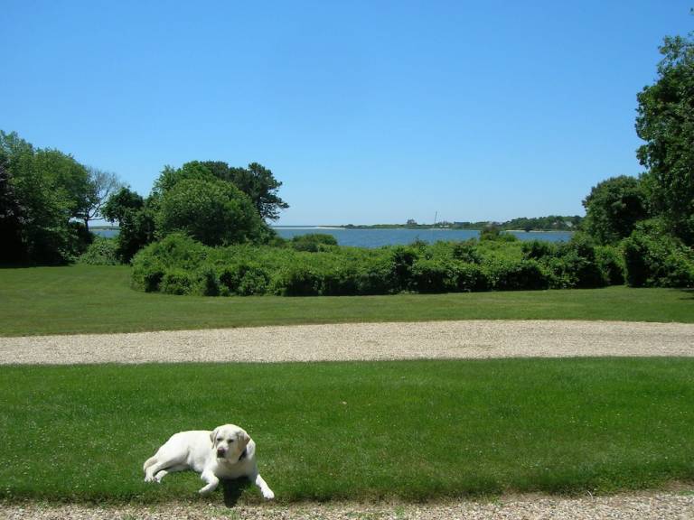 House East Hampton