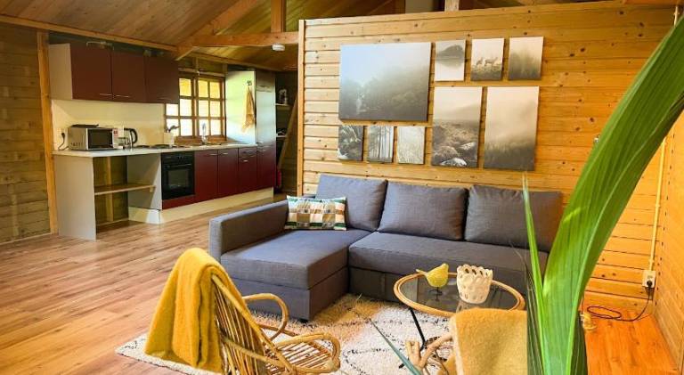 Lodge with yard & patio in Groningen