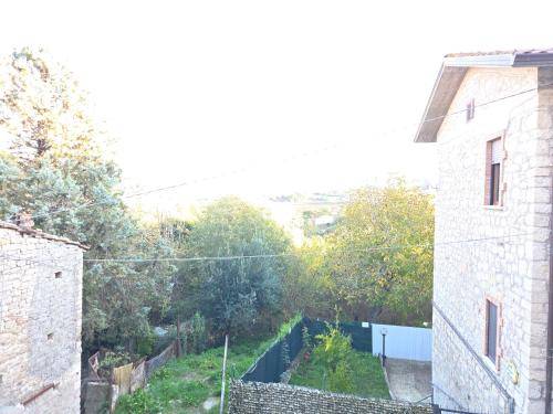 foto1