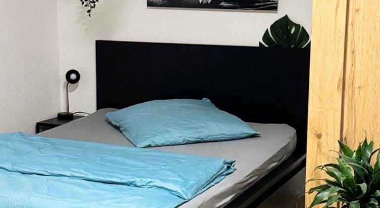 Rental apartment | Dogs allowed in Saarbrücken