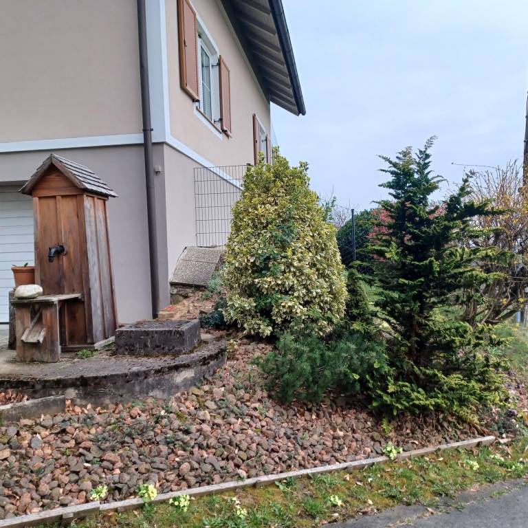 foto25