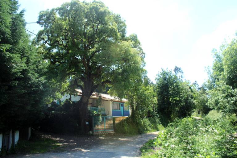 foto16
