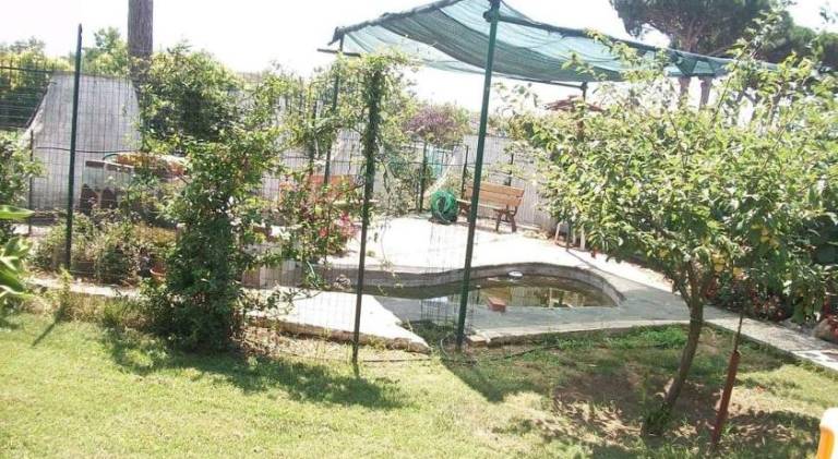 foto15