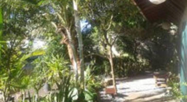 foto41