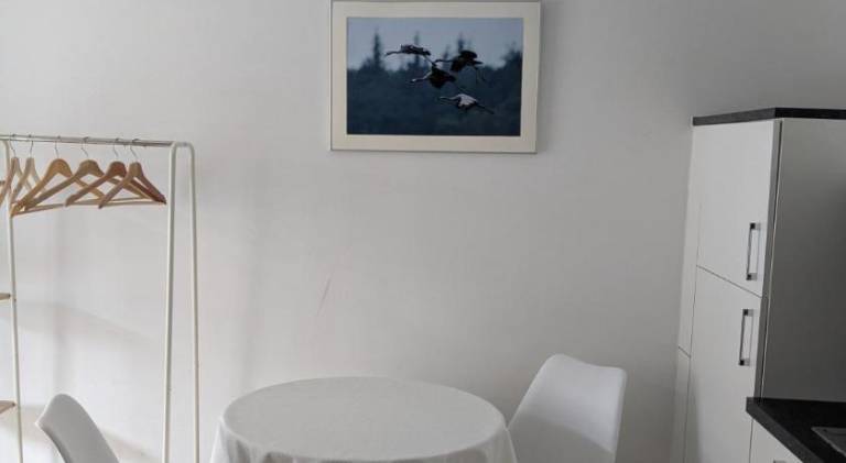 foto28