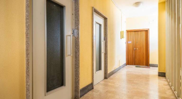 I 4 Gatti di Vapy — photo 5