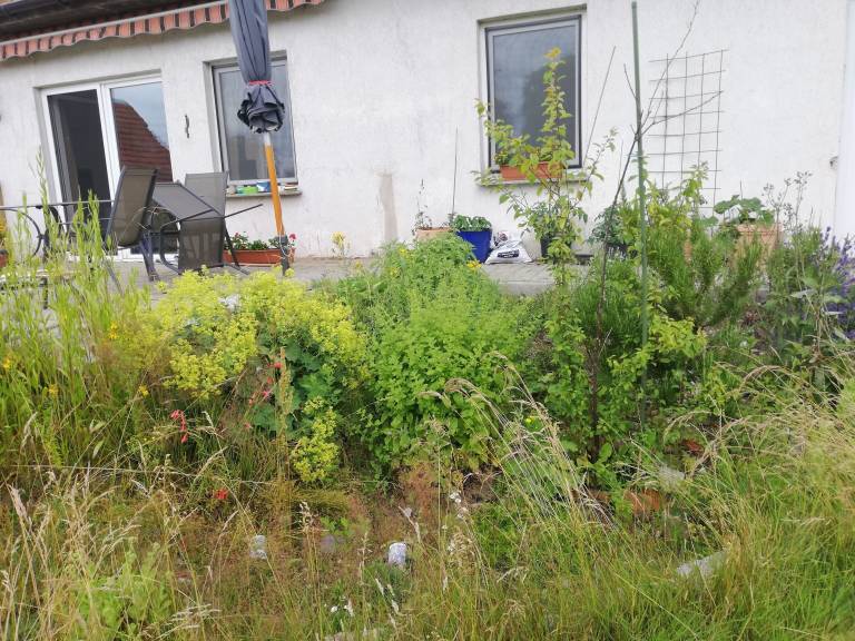Ferienwohnung Perdöhl