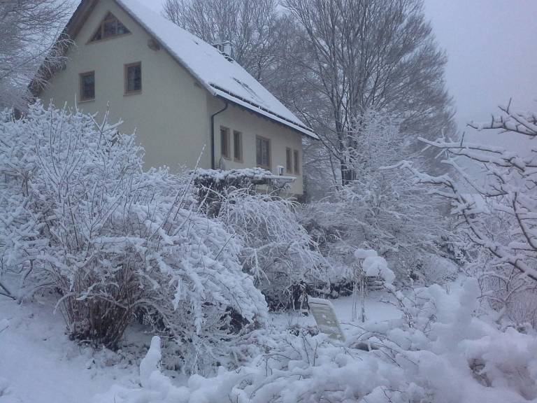 foto17