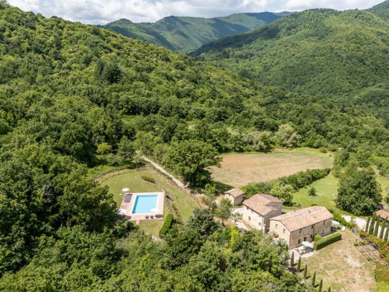 foto40