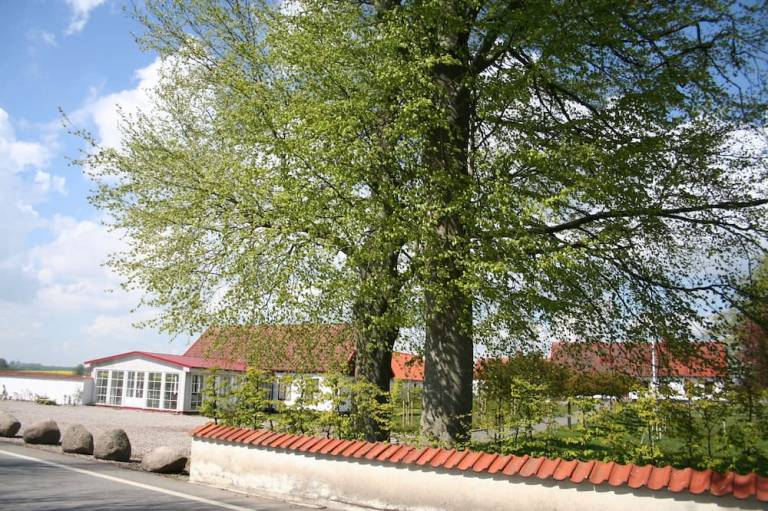 bed & breakfast  Skillinge