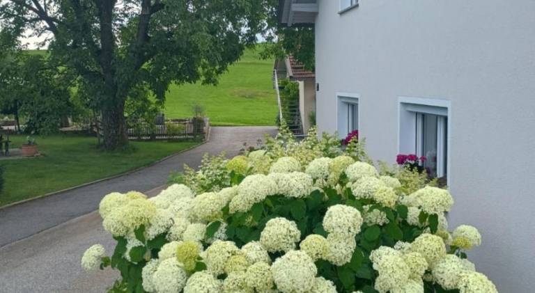 Apartment with 2 rooms for 6 persons in Passau
