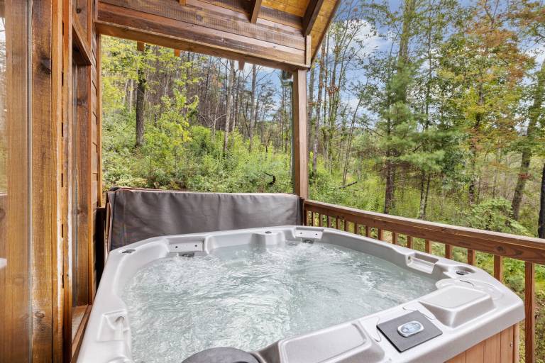 Cabin with private pool & terrace — photo 3