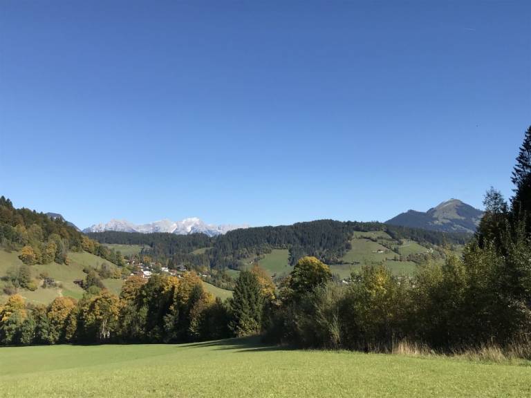 foto43