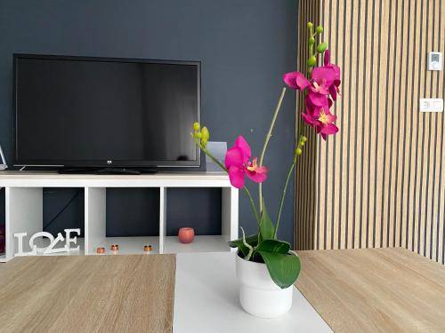Apartamento Caravaca de la Cruz