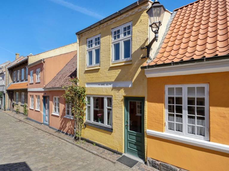Ferienhaus  Dyreborg