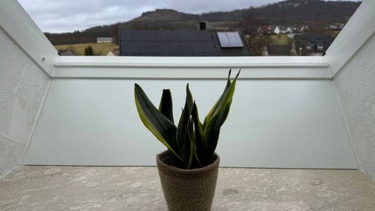 foto18