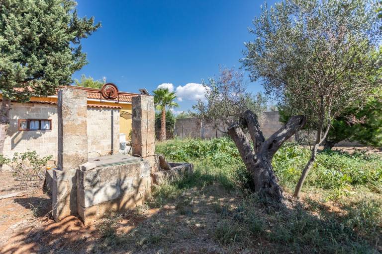 Appartamento  Padula Bianca