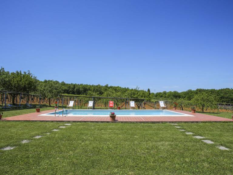 foto11