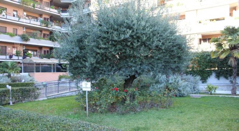 B&B le Pleiadi Aeroporto Fiumicino — photo 4