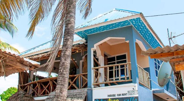 Palm Tree Villa Nungwi — photo 4