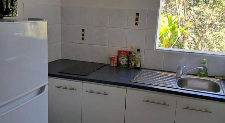 Rental apartment with yard & terrace — photo 4
