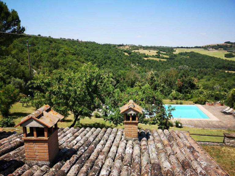 House with private pool, barbecue & yard — photo 4