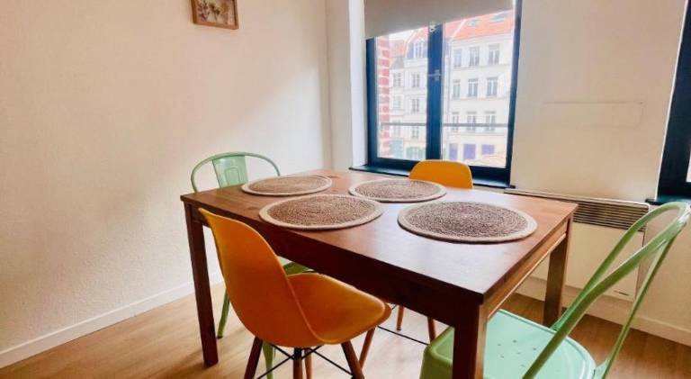 Ch'ti Lillois - Appartement 3 personnes Lille — photo 5