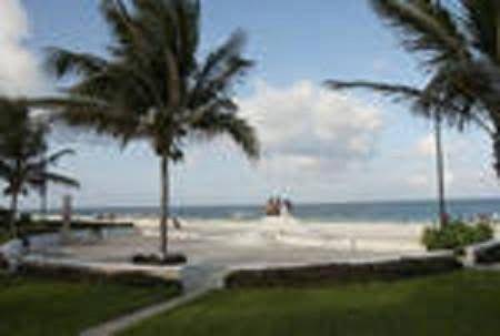 Apartment | Pets allowed in Puerto Morelos