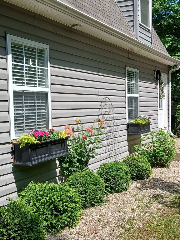 Cabin  Bowling Green
