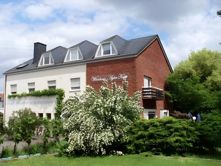 Weinhotel Ayler Kupp in Trier