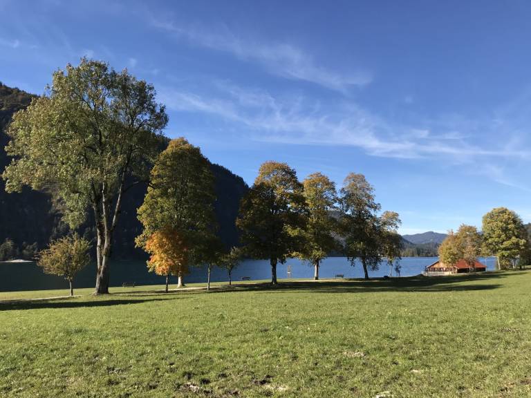 foto45