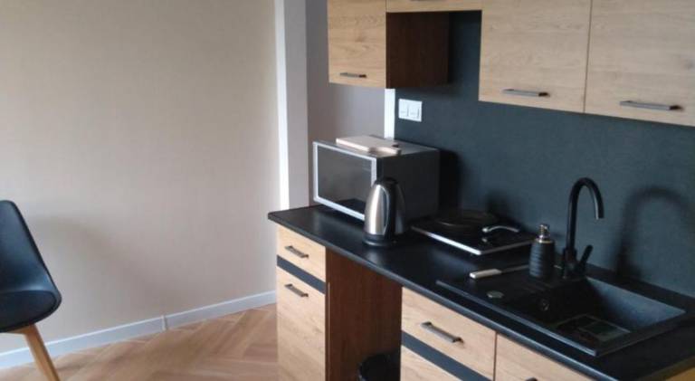 Beautiful apartment | Dogs allowed in Lódz