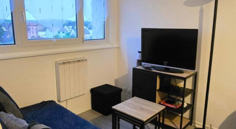 Pleasant apartment | Pets are welcome — photo 3