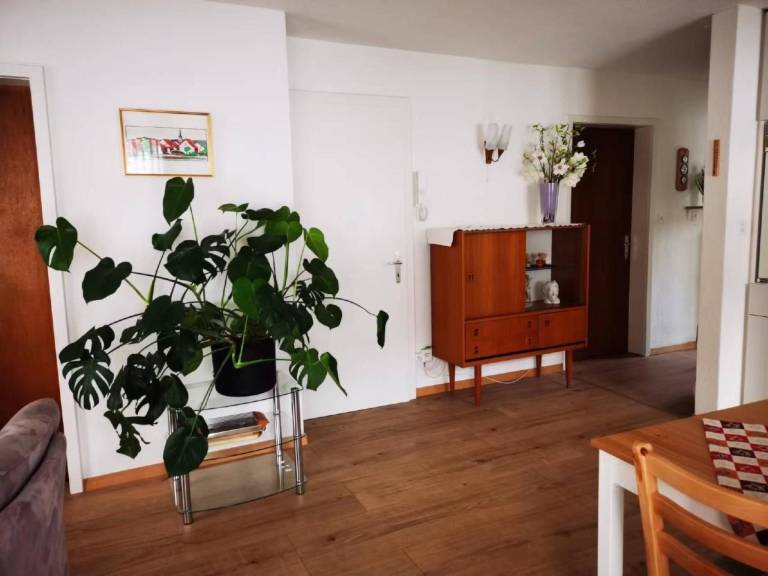 WILOMA Ferienwohnung — photo 4