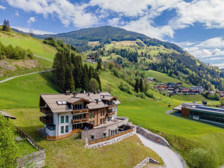 Appartement Viehhofen
