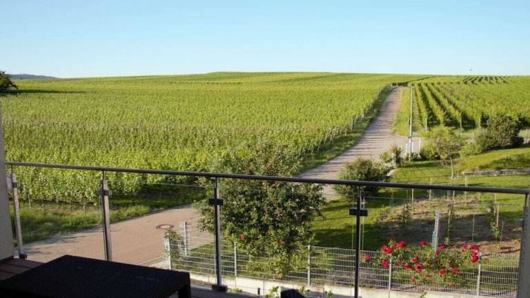 Ferienhaus Kaiserstuhl