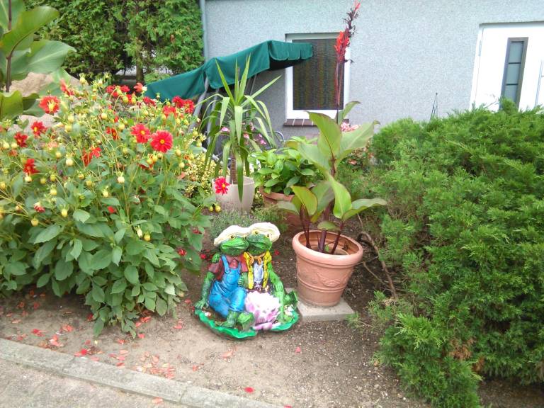 foto15