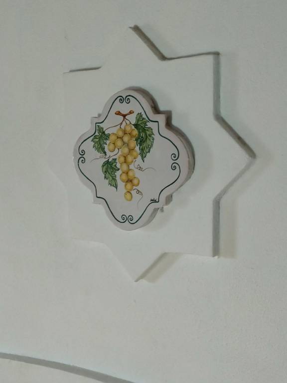 foto41