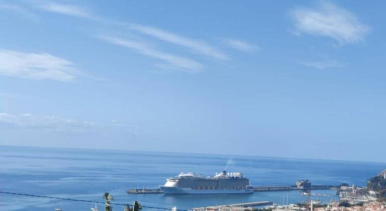House | Near Farmers Market | Pet-friendly in Funchal