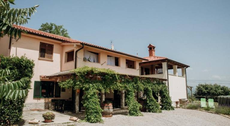 Apartma Padna
