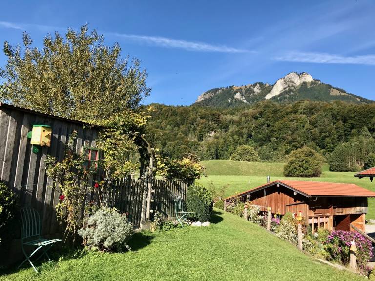 foto21