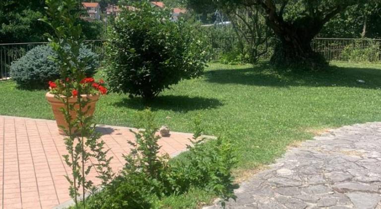 foto33