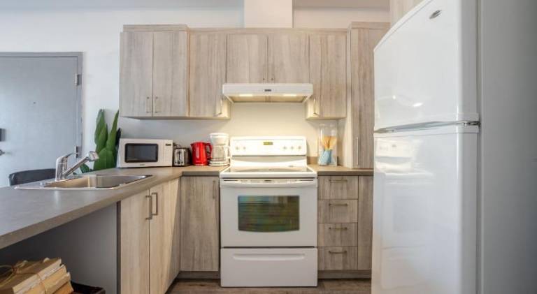 Bright and Beautiful 3 Bedroom in Griffintown — photo 5