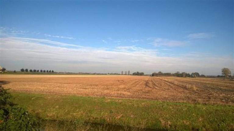 foto13