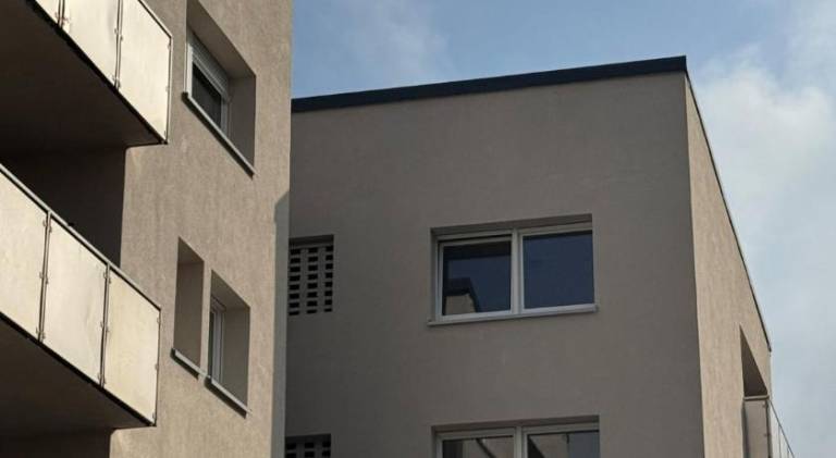 Holiday apartment | Pets are welcome — photo 4