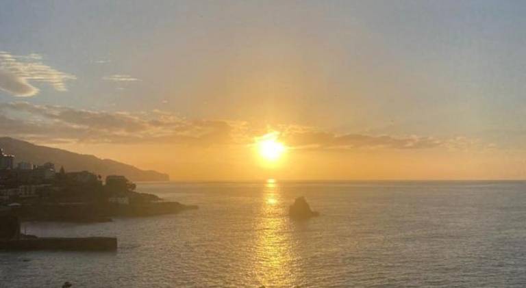 Holiday apartment with terrace & private pool | Close to Doca do Cavacas | Pets allowed in Funchal